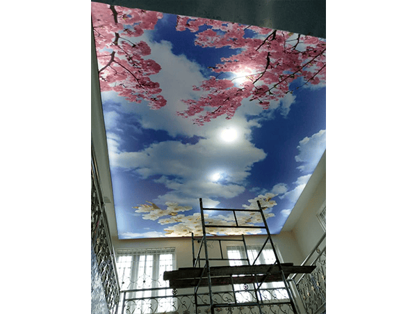 Residential - Living Room 02